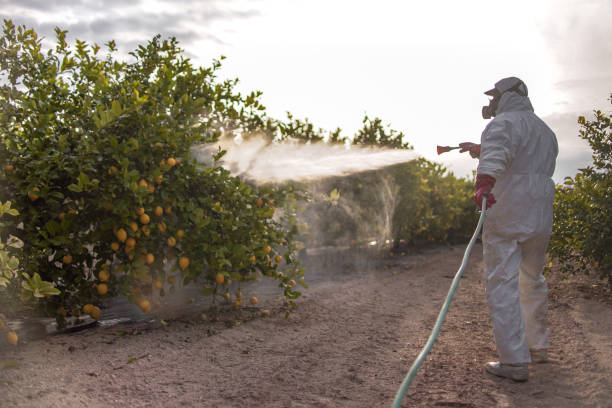 Best Pest Inspection Near Me  in Osseo, WI